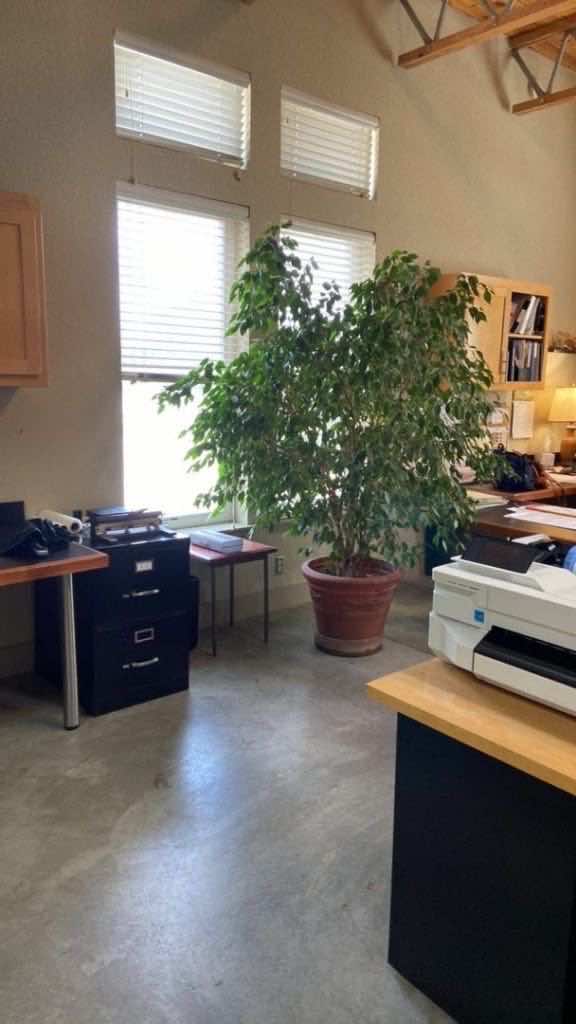 TMA Architecture - project photo 2